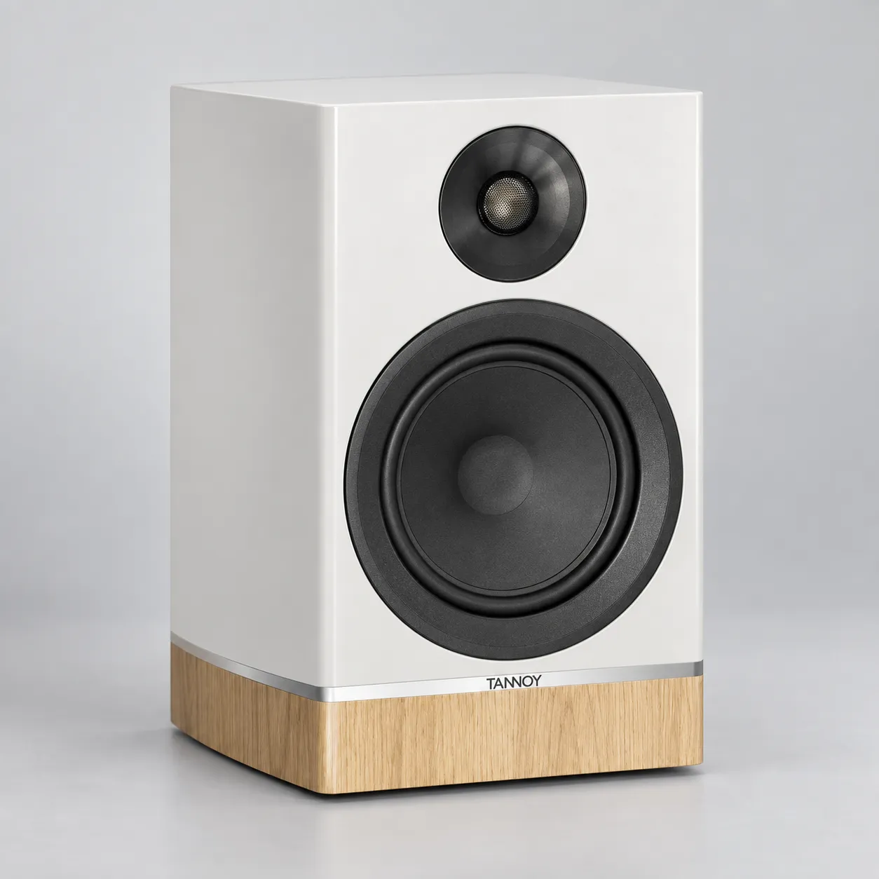 Tannoy Speaker